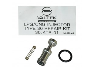 Ремкомплект форсунок Valtek (на одну форсунку) Оригинал